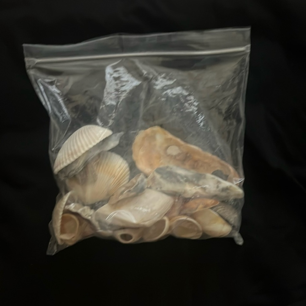 Bag of shells!